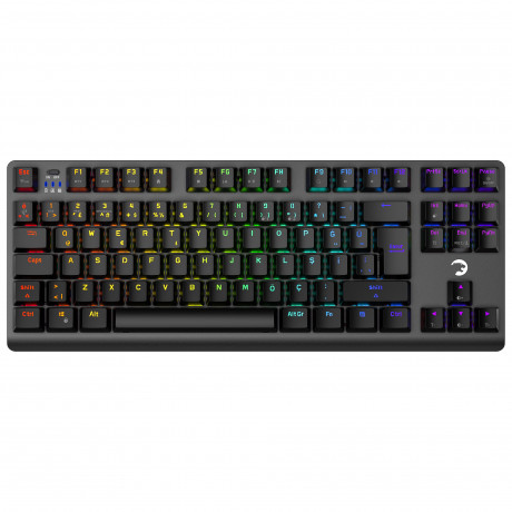 GAMEPOWER EVA 7 BLUE SWITCH 88 MEKANİK KLAVYE RGB